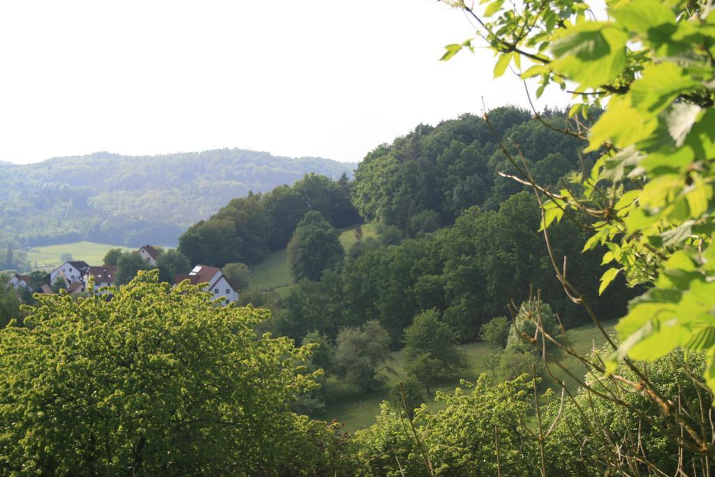 Landidyll Hotel Zum Alten Schloss Kirchensittenbach Quarto foto